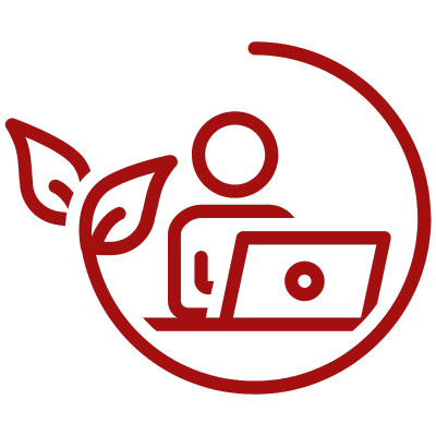 Custom Solution Icon