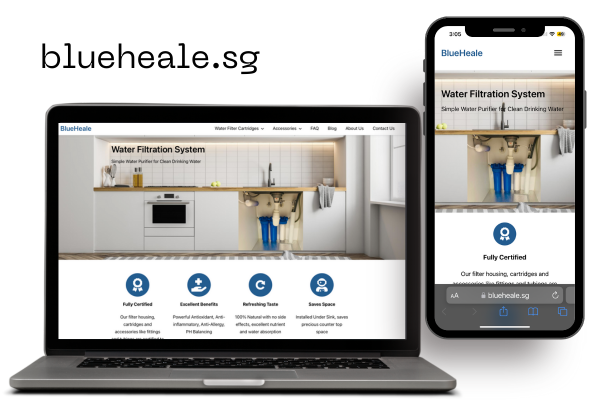 blueheale.sg Website 2 views